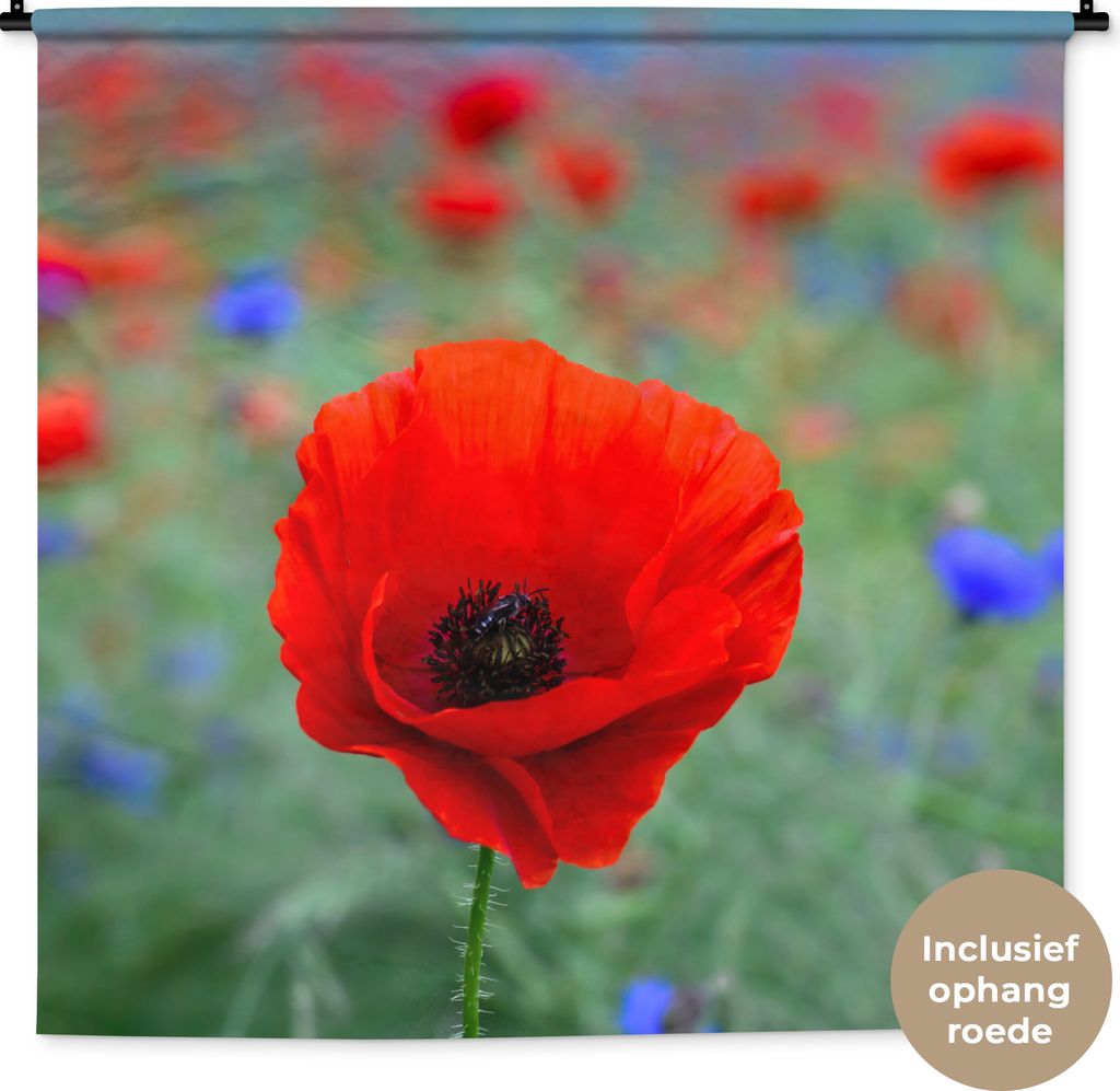 MuchoWow Wandteppich Wandbehang Lila und rote Mohnblumen auf einer Wiese 150x150 cm Tapisserie Dekoration Wandtuch - Wohnaccessoires - Modernes