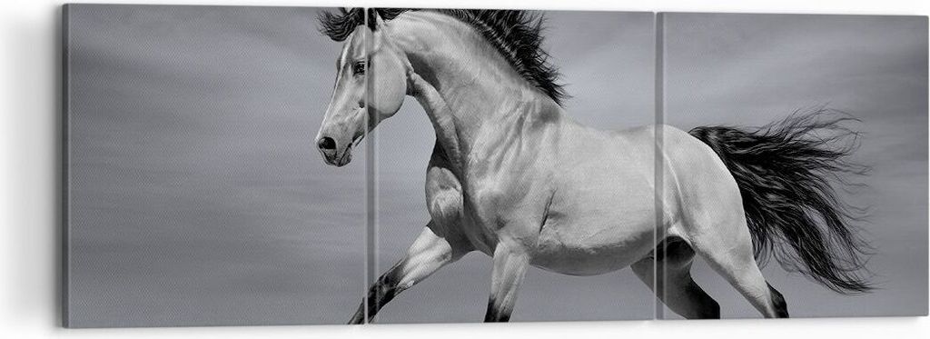 Bild auf Leinwand - Leinwandbild - Pferd Tier Natur - 120x40cm - Wand Bild - Wanddeko - Wandbilder - Leinwanddruck - Bilder - Kunstdruck - Wanddeko...