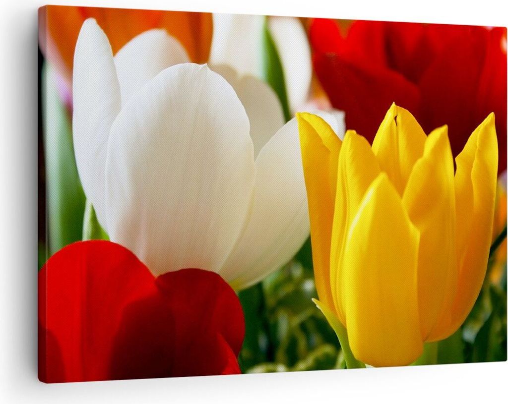 Bild auf Leinwand - Leinwandbild - Tulpen Vase Blumenstrauß Produktbild 