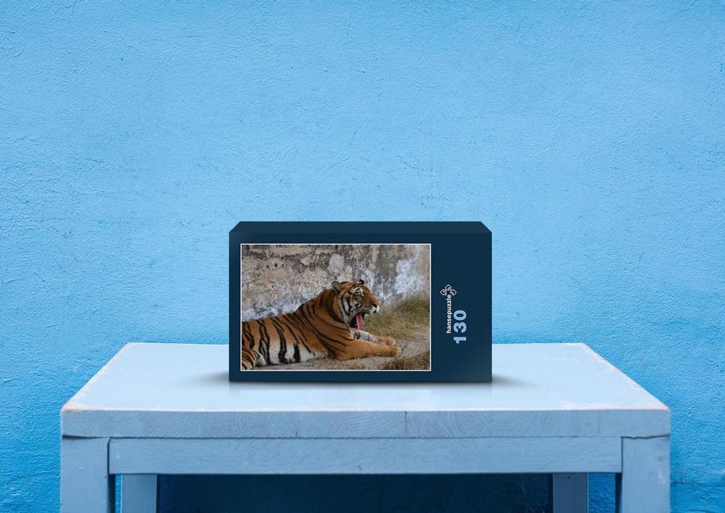 hansepuzzle 53242 - Tiger Puzzle, 130 Teile, Tierwelt, 28,7 x 20,0cm mit hochwertiger Aufbewahrung, Kartonbox und wiederverschließbarem Beutel