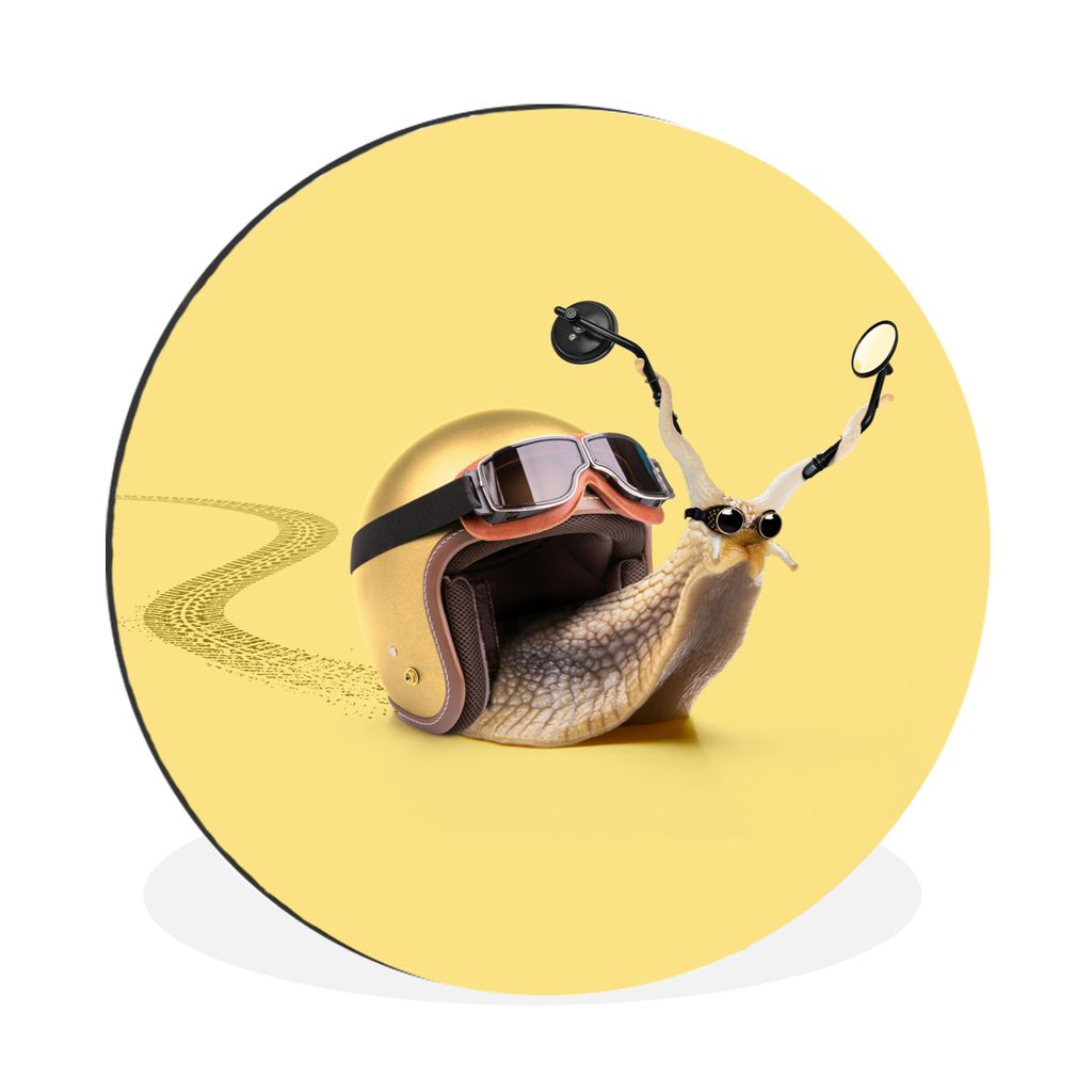MuchoWow Aluminium Wandkreis Schnecke - Tiere - Helm - Gelb - Spiegel Ø 60 cm Wanddeko Modern Wohnzimmer - Wand Kreis - Wandbild - Schlafzimmer ...