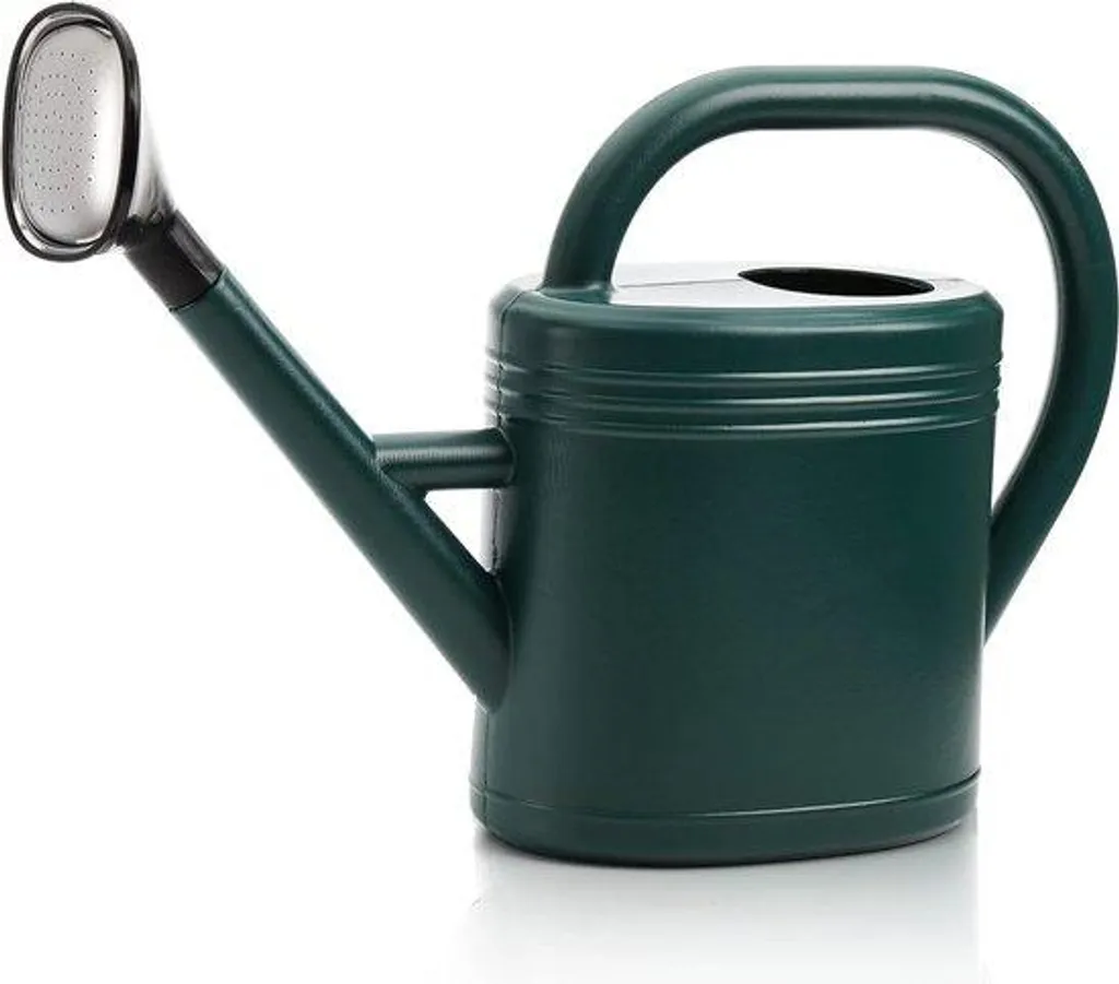 Arrosoir pour plantes d'intérieur et bureau, 1L vert avec pomme de douche