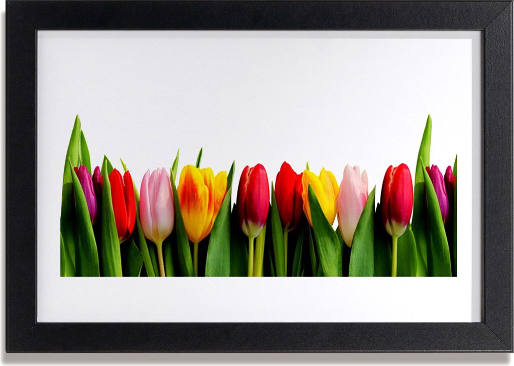 Bild 30x20 MDF-Rahmen Wandkunst Pflanze Tulpen