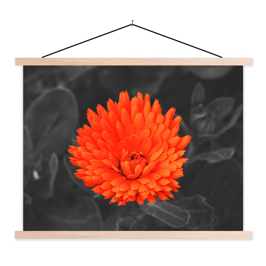 MuchoWow Textilposter Blumen - Orange - Schwarz - Weiß 40x30 cm mit holzfarbenen Rahmen - Bilder