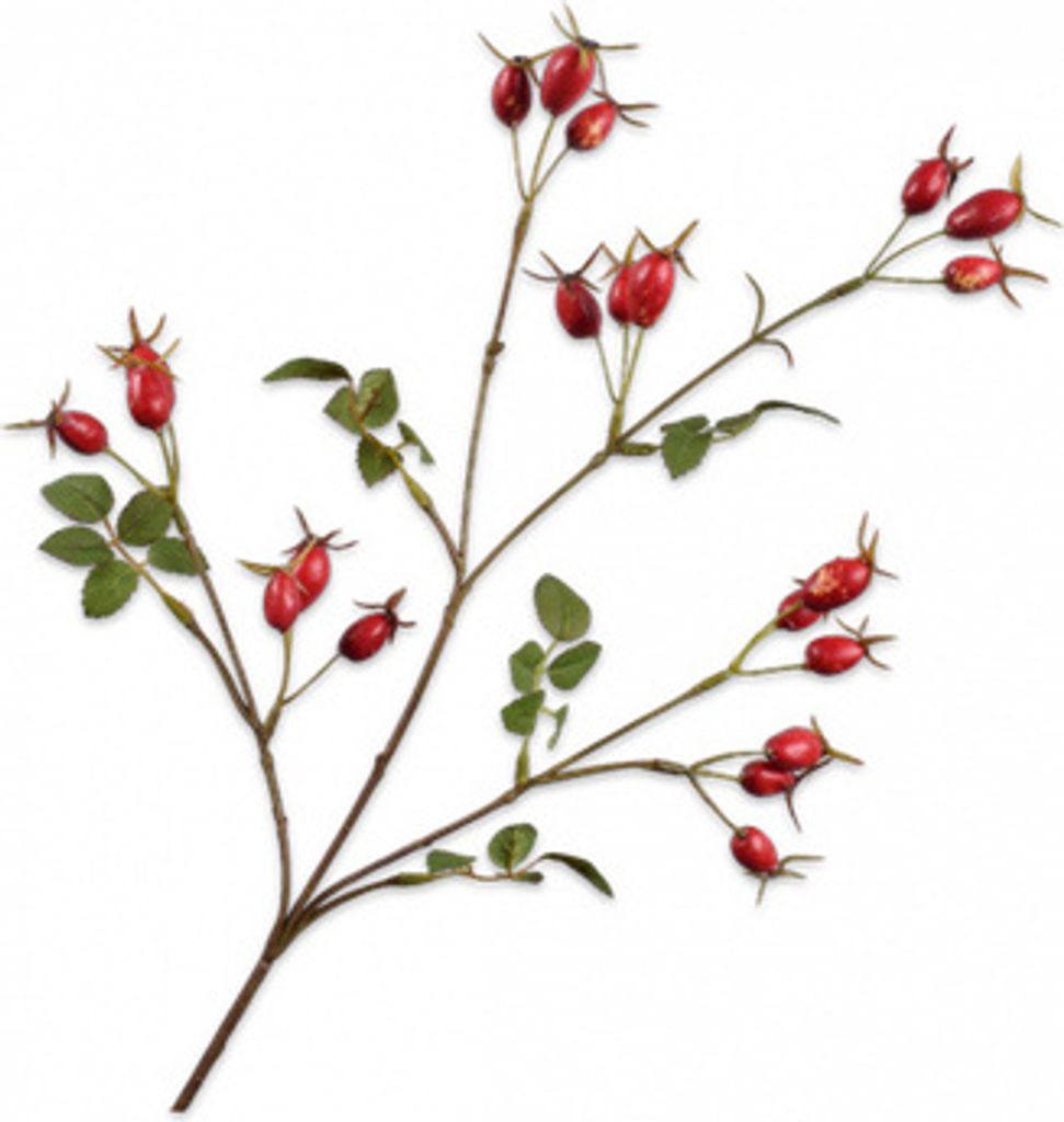 Silk-ka Künstliche Blume – Seidenblume – künstlicher Zweig Produktbild 