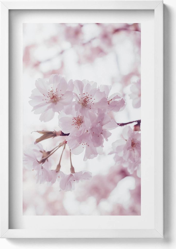 Zarte blassrosa Blumen– Wandbild mit Rahmen – Gerahmtes Bild – Wanddekoration – 40x60 cm – Weiß