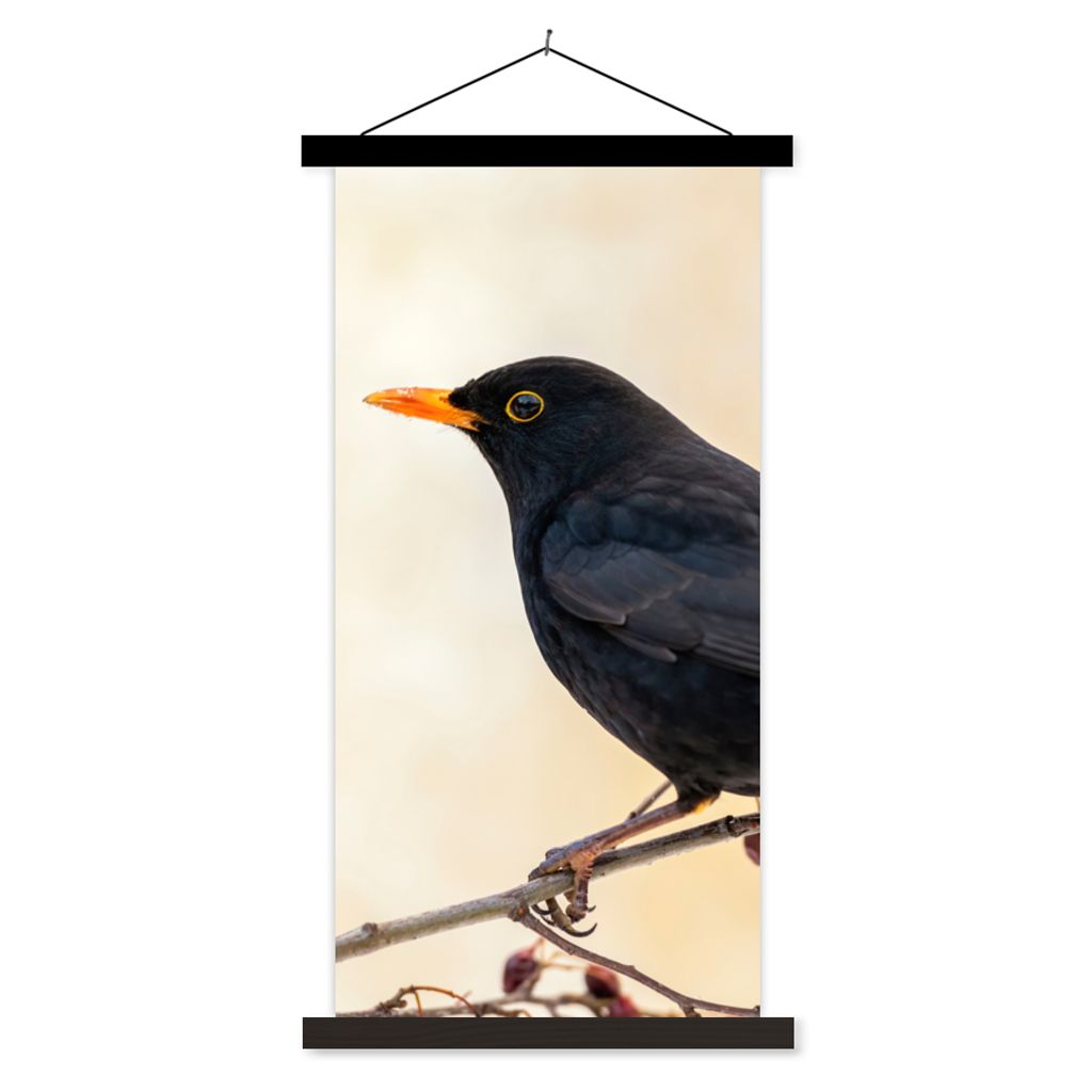 MuchoWow Textilposter Amsel - Vogel - Zweige - Beere - Rot 60x120 cm mit schwarzem Rahmen - Magnete