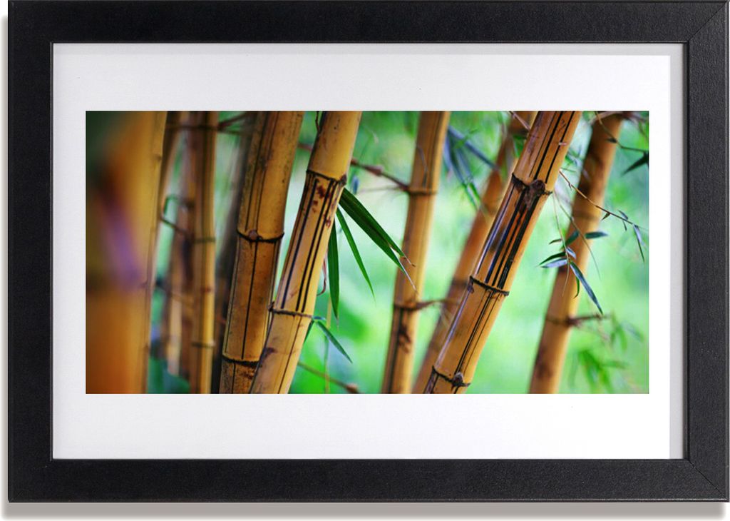 Bild 30x20 MDF-Rahmen Wandkunst Natur Bambuspflanze Produktbild 