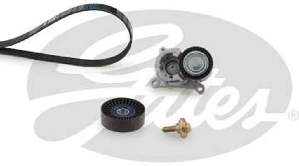 Gates K016PK1708 Kit de Courroies Trapézoïdales pour C5 C8 et 407