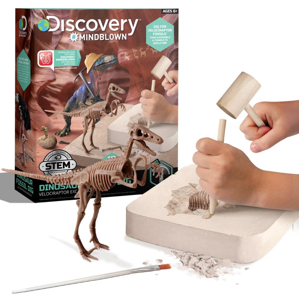Discovery Ausgrabungsset 3D Puzzle Velo