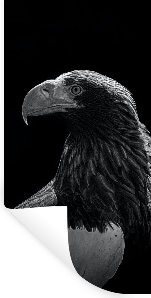 MuchoWow Wandtattoo Wandsticker Wandaufkleber Adler - Nahaufnahme - Schnabel 60x120 cm Selbstklebend und Repositionierbar - Selbstklebend - Fotot...