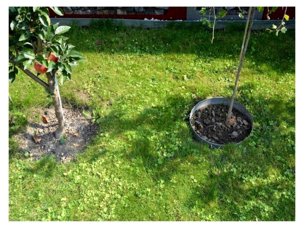 Rasenkanten Baumring aus Metall, Durchmesser 37 cm, Höhe 17,5 cm - 3er Set
