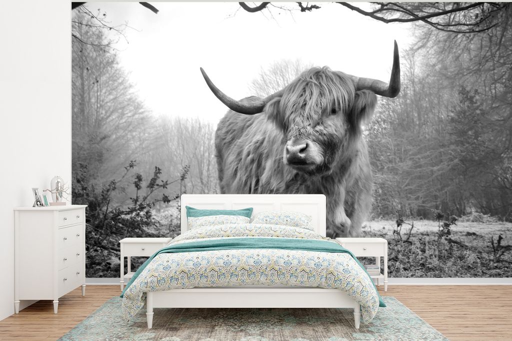 MuchoWow Fototapete für Wohnzimmer oder Schlafzimmer Wandtapete Vinyl Motivtapete Schottische Highlander - Natur - Herbst - Tiere - Wildtiere - ...