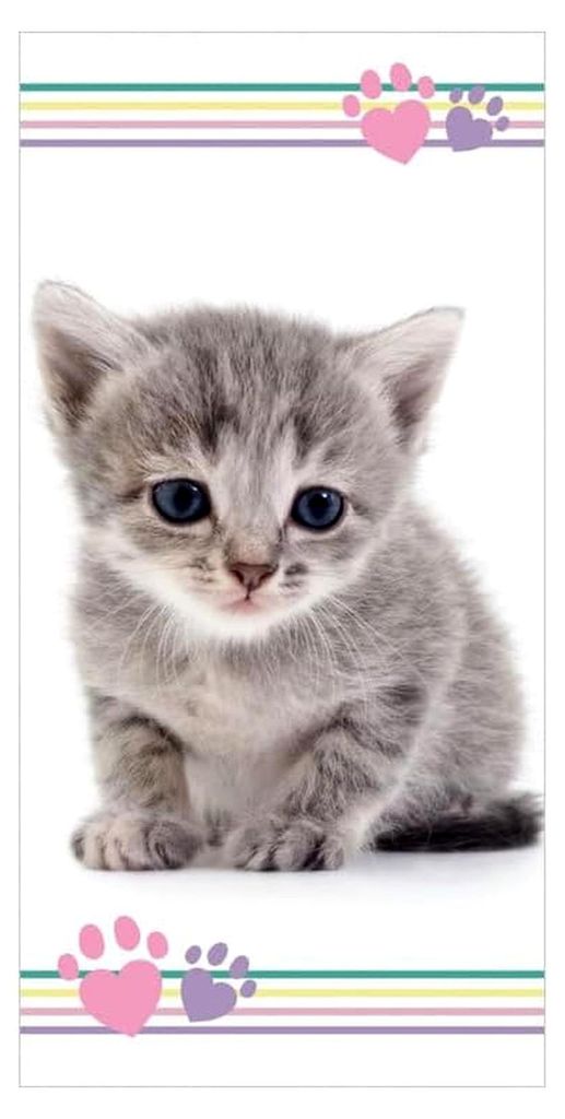 Duschtuch Badetuch Handtuch Strandtuch mit Katze 70 x 140 cm, Mehrfarbig