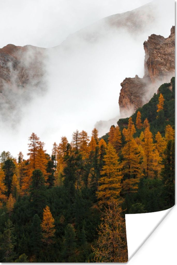 MuchoWow Poster Kiefer - Herbst - Berg - Landschaft 60x90 cm - Wanddekoration