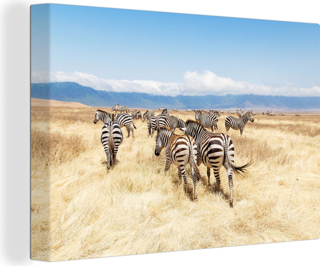OneMillionCanvasses - Leinwandbilder - 140x90 cm, Zebraherde im Ngorongoro-Krater, Wandbilder Kunstdruck Wanddekoration - Foto auf Leinwand - Gem...
