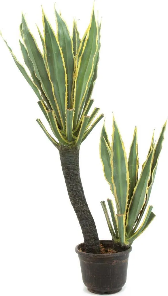 Cactus orchidée artificiel 160cm : la solution verte sans arrosage