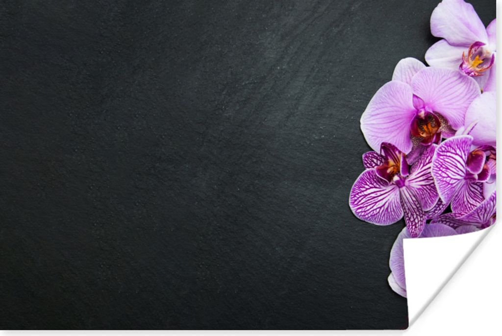 MuchoWow Poster Orchidee - Blumen - Rosa - Flora 180x120 cm - Fotoplakat