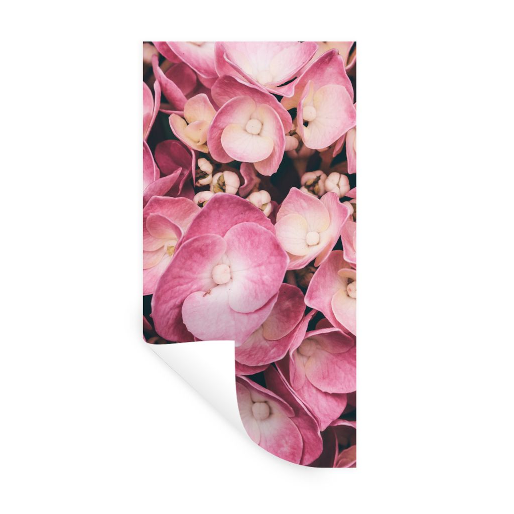 MuchoWow Wandtattoo Wandsticker Wandaufkleber Nahaufnahme rosa Hortensien 20x40 cm Selbstklebend und Repositionierbar - Selbstklebend - Fototapeten