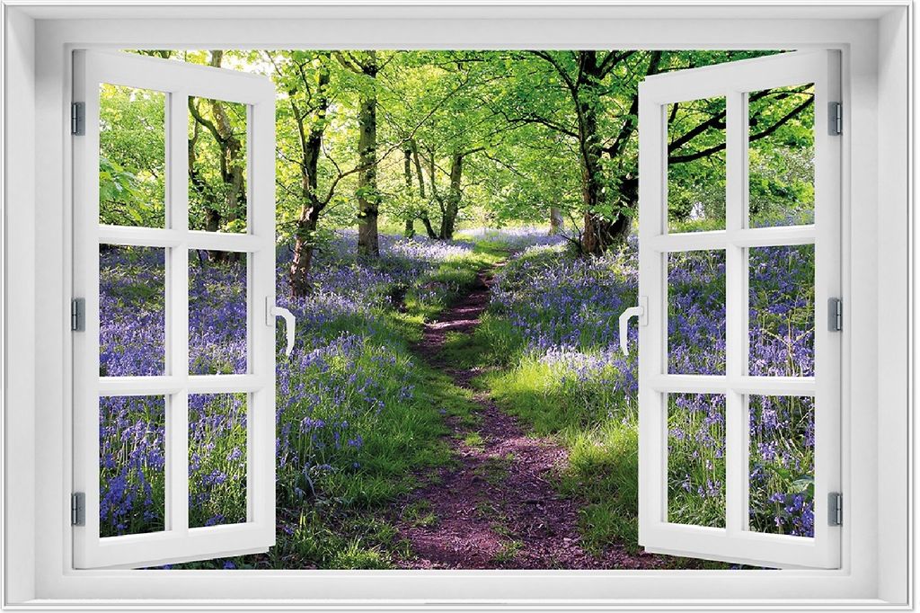 Wallario Wandbild mit Fenster-Illusion: Blaues Hasenglöckchen im Wald, Größe: 61 x 91,5 cm, Poster mit weißem Aluminiumrahmen