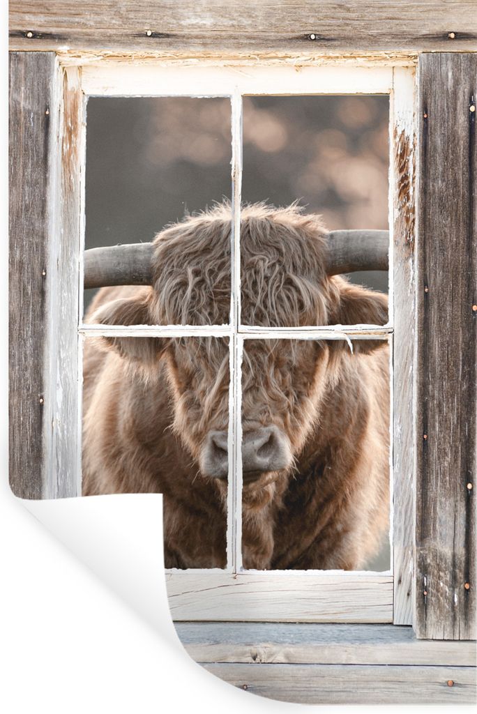 MuchoWow Wandtattoo Wandsticker Wandaufkleber Schottischer Highlander - Ansicht - Fenster 40x60 cm Selbstklebend und Repositionierbar - Wierderve...