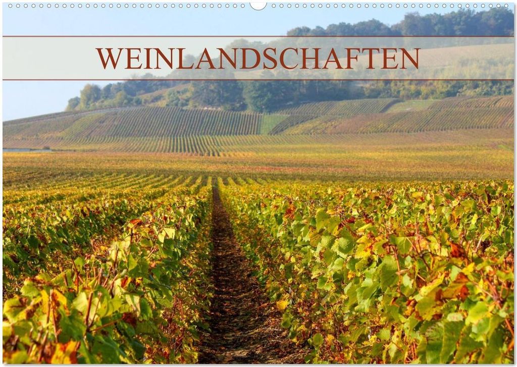 Weinlandschaften (Wandkalender 2026 DIN A2 quer), CALVENDO Monatskalender