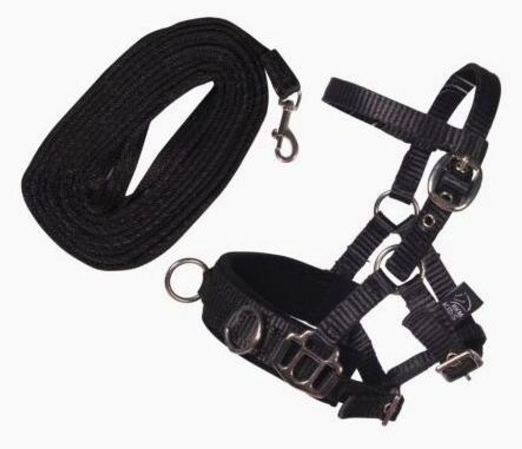 Longierset -Hobby Horsing- 9100 schwarz Produktbild 