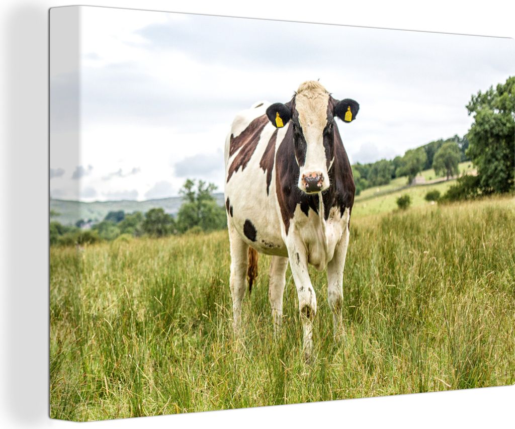 OneMillionCanvasses - Leinwandbilder - 150x100 cm, Kuh - Gras - Landschaft, Wandbilder Kunstdruck Wanddekoration