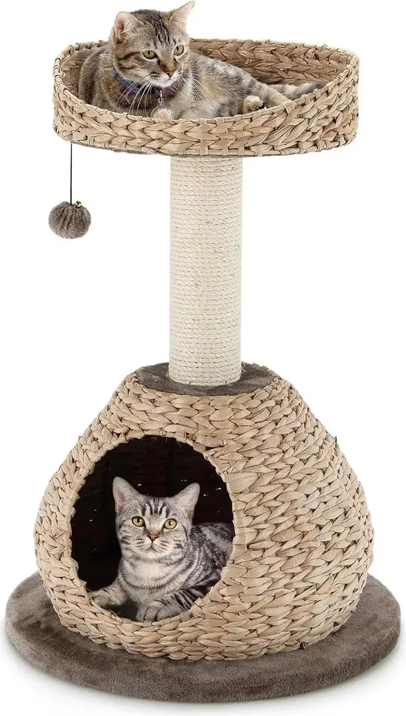 Arbre à chat compact 2 étages avec coussins moelleux et jeu de balle