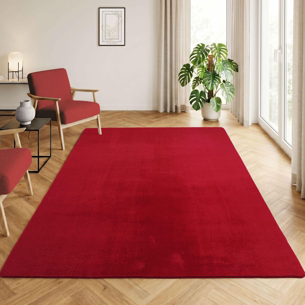 Homebyhome Tapis Lavable à Poils Courts Antidérapant et Image du produit 