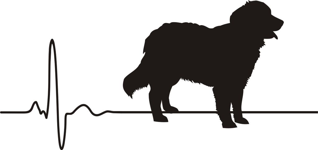 Berner Sennenhund, Herzschlag Hund, Autoaufkleber