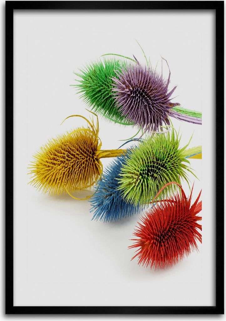 Bild - Bilderrahmen - 50 cm x 70 cm - MDF - Rahmen - Wandkunst Distel