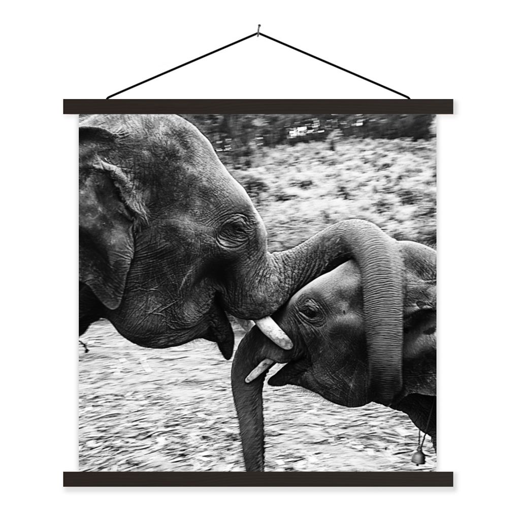 MuchoWow Textilposter Elefant - Tiere - Natur - Schwarz und weiß 60x60 cm mit schwarzem Rahmen - Posteraufhänger