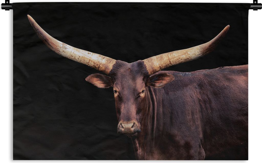 MuchoWow Wandteppich Wandbehang Kuh - Watussi - Schwarz 90x60 cm Tapisserie Dekoration Wandtuch - Wandskulpturen - Bildteppich