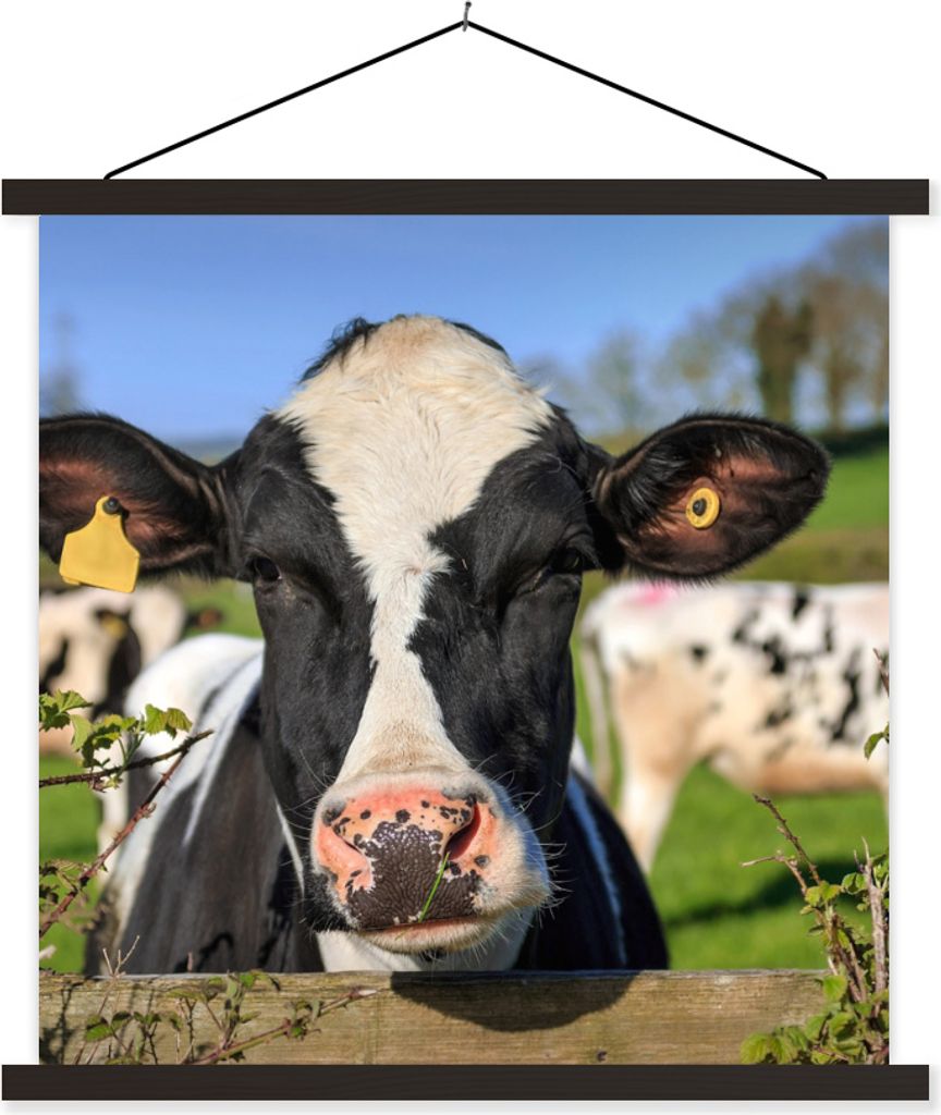 MuchoWow Textilposter Kuh - Zaun - Gras - Tiere 60x60 cm mit schwarzem Rahmen - Posteraufhänger