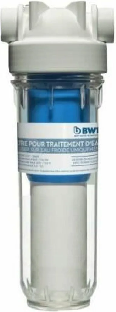 Filtre de piscine BWT 125550144 pour une eau limpide et saine cet été