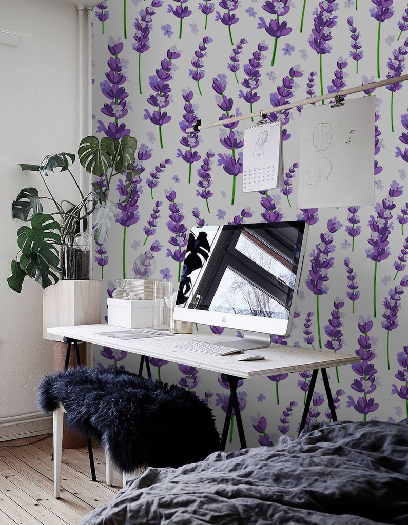 Coloray Fototapete 416x254 cm Vlies-Fototapete - Provence Violette Lavendelblumen
