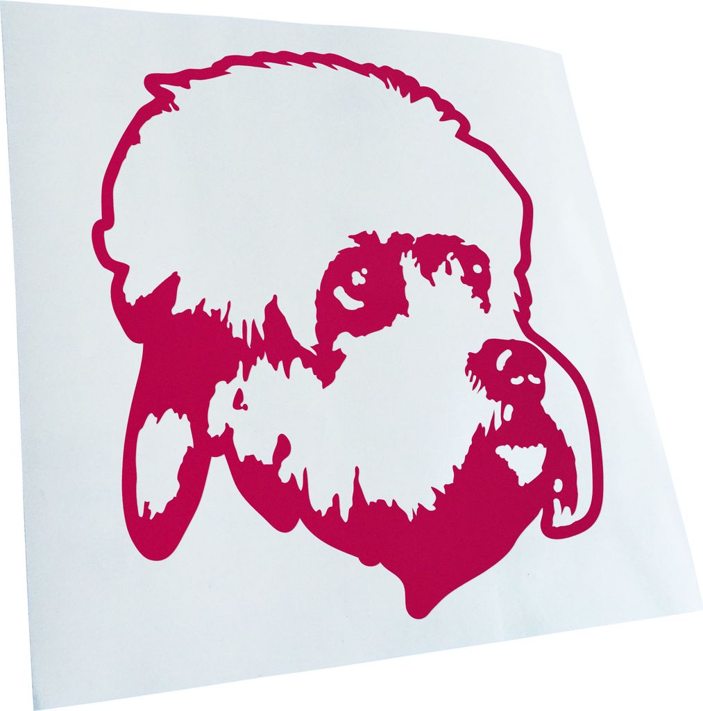 Kiwistar - Autoaufkleber - dandie dinmont terrier Hund - Pink - 60x55cm - Aufkleber für Auto, Laptop, Fahrrad, LKW, Motorrad mehrfarbig JDM Decal ...