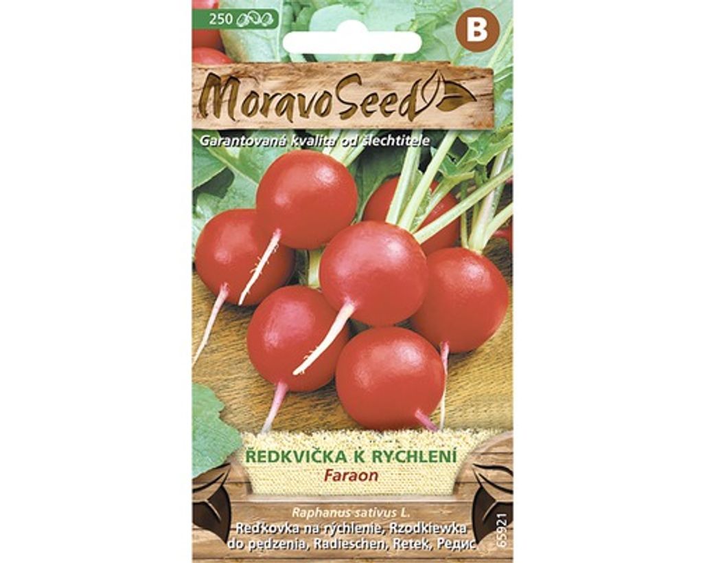 FARAON MoravoSeed Rettich