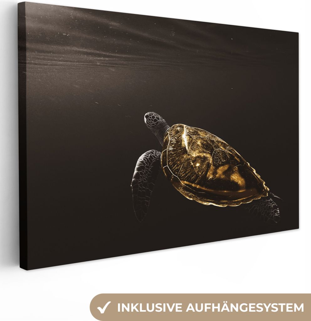OneMillionCanvasses - Leinwandbilder - 150x100 cm, Schildkröte - Schwarz - Gold, Wandbilder Kunstdruck Wanddekoration