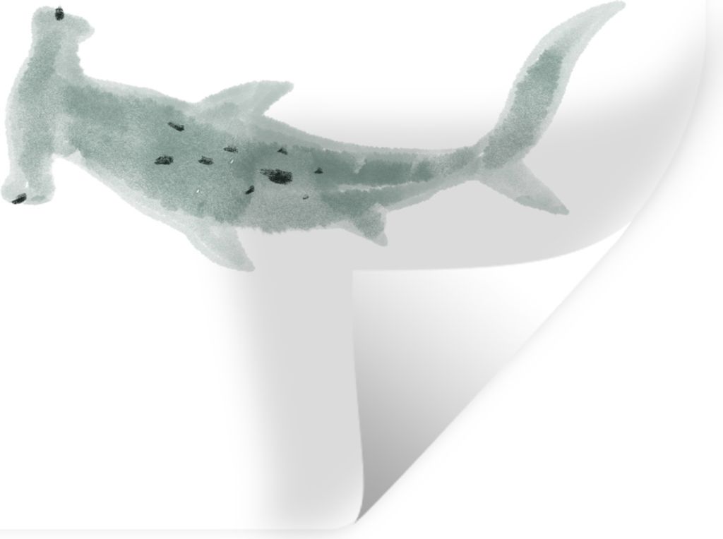 MuchoWow - Selbstklebend - Fototapeten