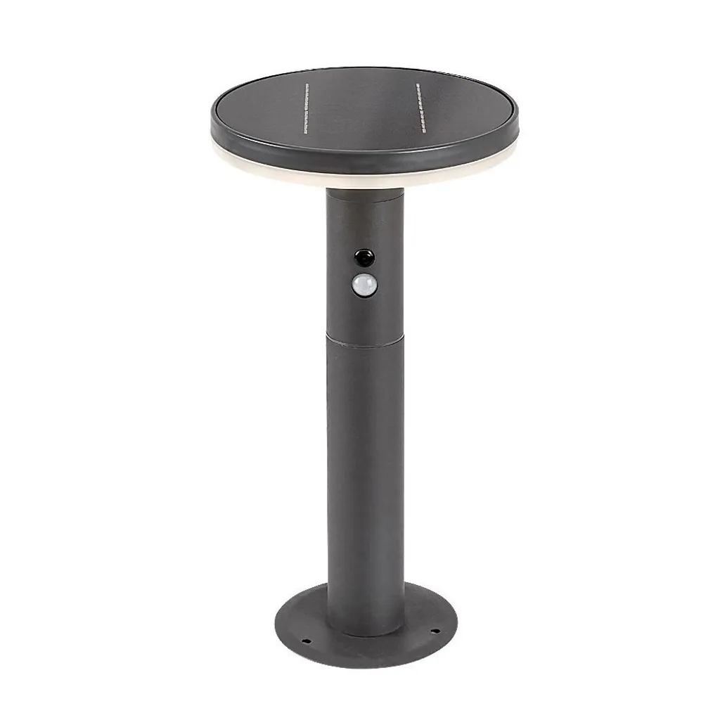 Rabalux 77018 Alaska Lampe Solaire 10W 250lm en Acier Anthracite ø210mm