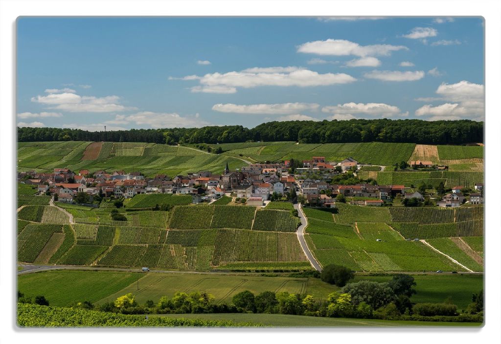 Wallario Frühstücksbrettchen aus Glas 20 x 30 cm mit rutschfesten Füßen, Motiv Panoramablick über die Champagne