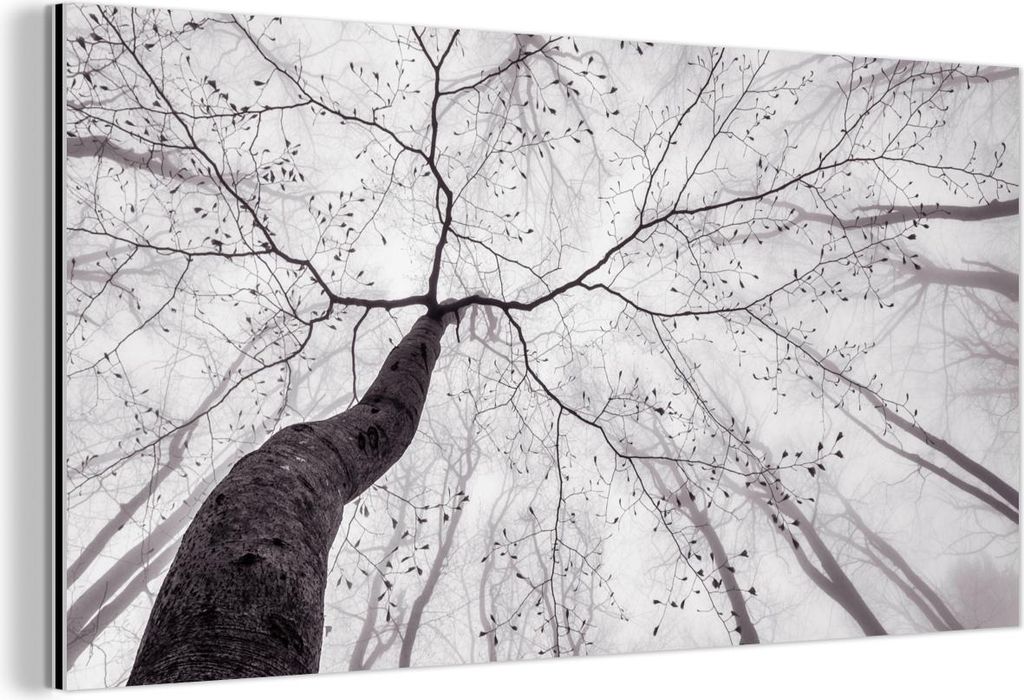MuchoWow Wanddekoration Metall Metallbild Wandkunst 120x60 cm Baum - Äste - Nebel MuchoWow Aluminium Gemälde - Metalbilder