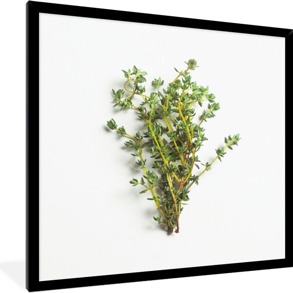 MuchoWow Gerahmtes Poster Strauß frischer Thymiankräuter auf weißem Hintergrund 40x40 cm - Poster mit Schwarzem Bilderrahmen Wandposter Rahmen...