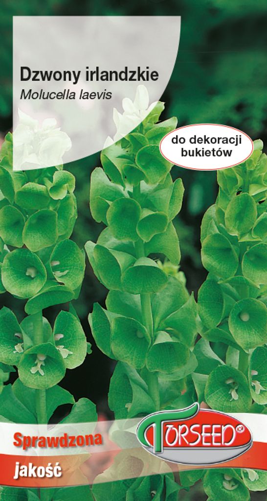 Grüner irischer Glockensamen 1g - Torseed Produktbild 