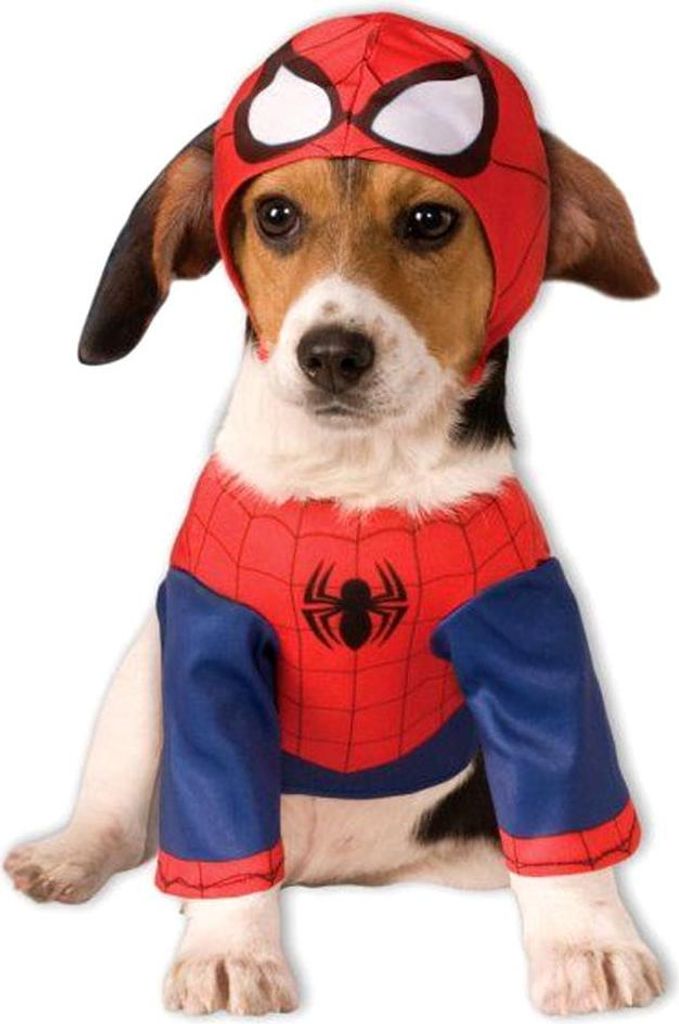 Spider-Man Hunde-Kostüm Größe: XL Produktbild 