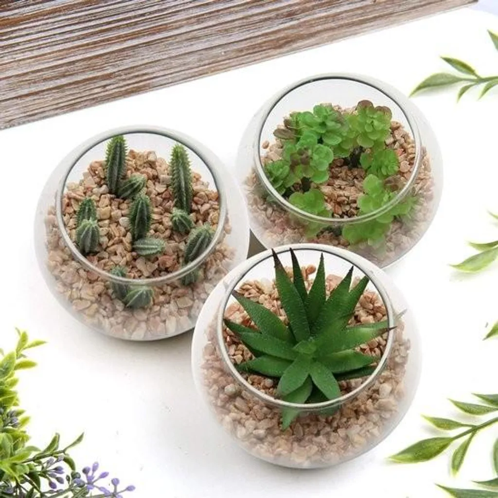 Succulente artificielle sans entretien en pot de verre - Lot de 3