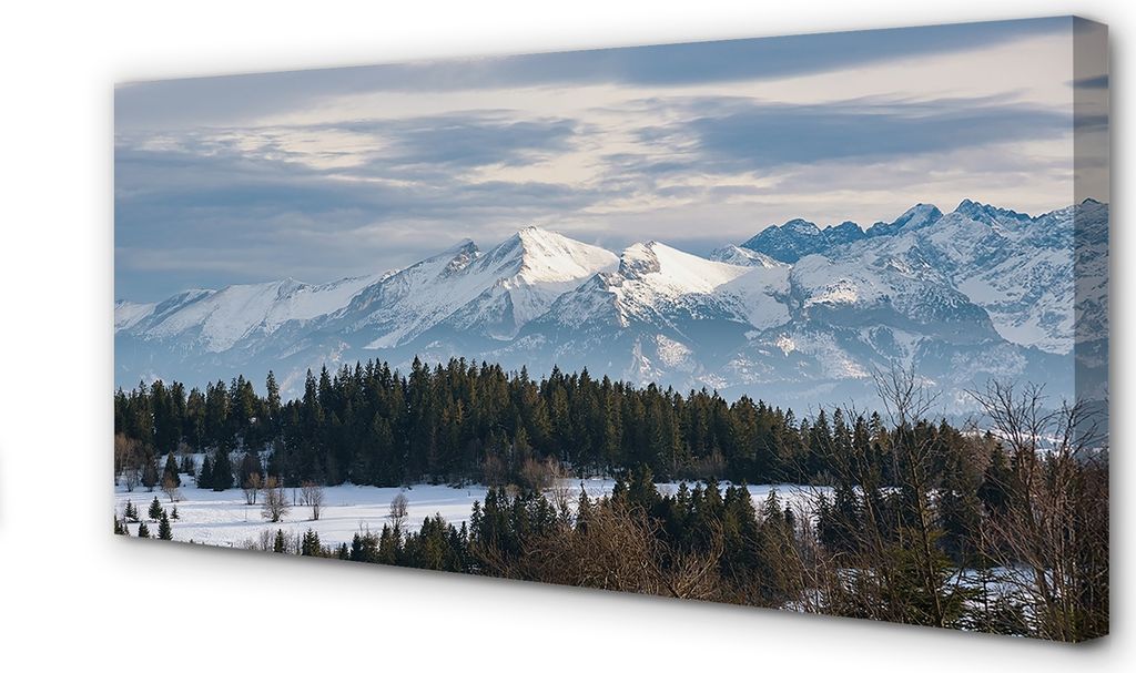 Leinwandbild 120x60 Wandkunst Berg Winter