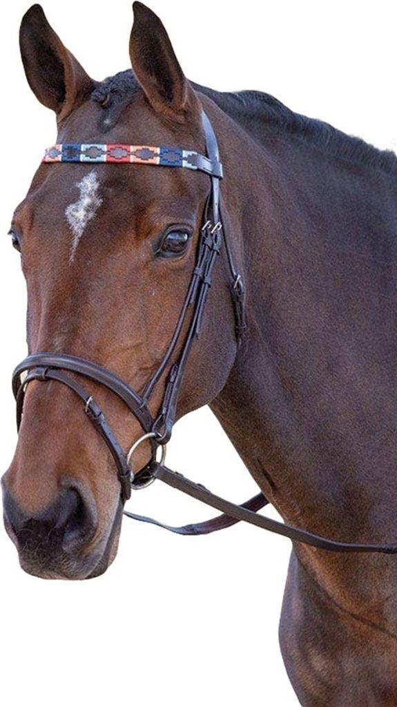 Blenheim - Pferde-Stirnriemen, Leder, Polo ER195 (Pony) (Türkis/Rot/Orange/Blau)